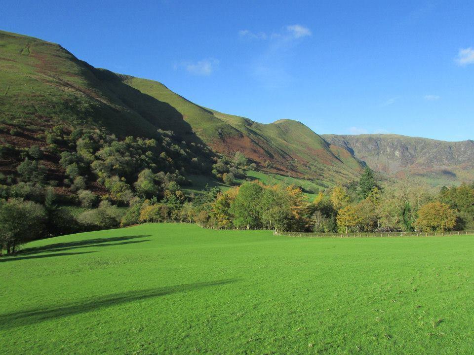Bryn Sion Farm Villa Dinas Mawddwy Eksteriør bilde
