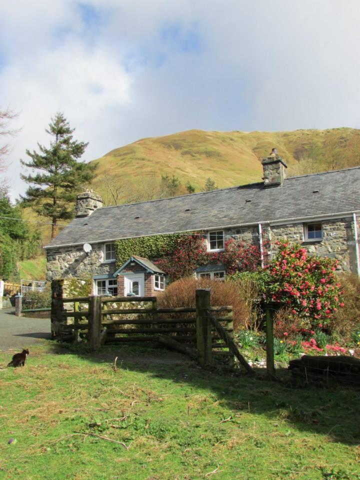 Bryn Sion Farm Villa Dinas Mawddwy Eksteriør bilde